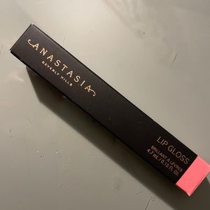 Anastasia lip gloss BNIB